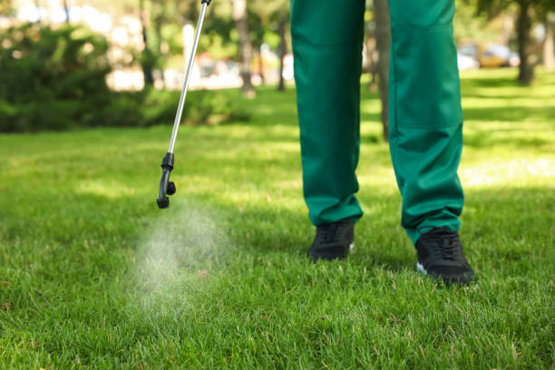 Best Flea Control Services  in Fredonia, NY