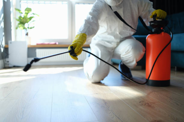 Wasp Removal Services in Fredonia, NY