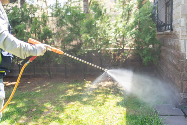Best Wasp Removal Services  in Fredonia, NY