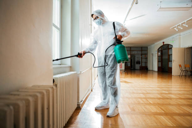 Best Termite Control Services  in Fredonia, NY