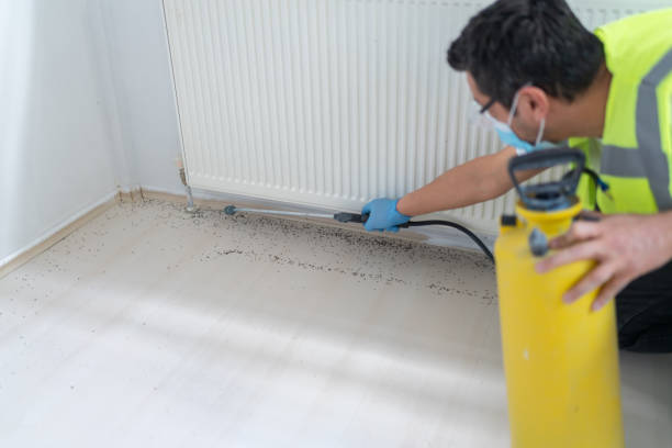 Best Emergency Pest Control  in Fredonia, NY
