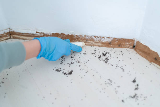 Trusted Fredonia, NY Pest Control Experts